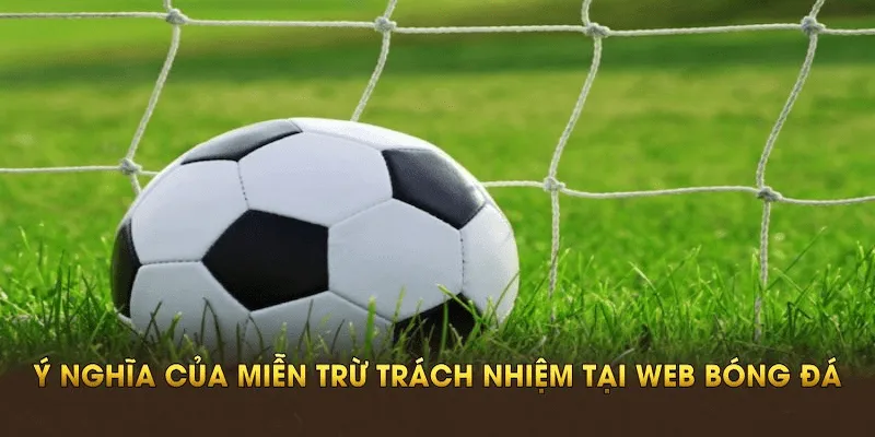 Cách đọc và hiểu miễn trừ trách nhiệm tại Cakhia
