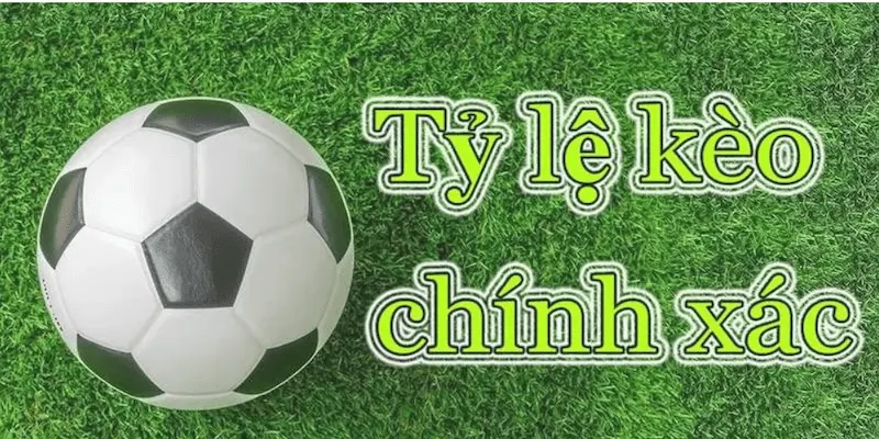 Cách đọc và hiểu tỷ lệ kèo châu Á
