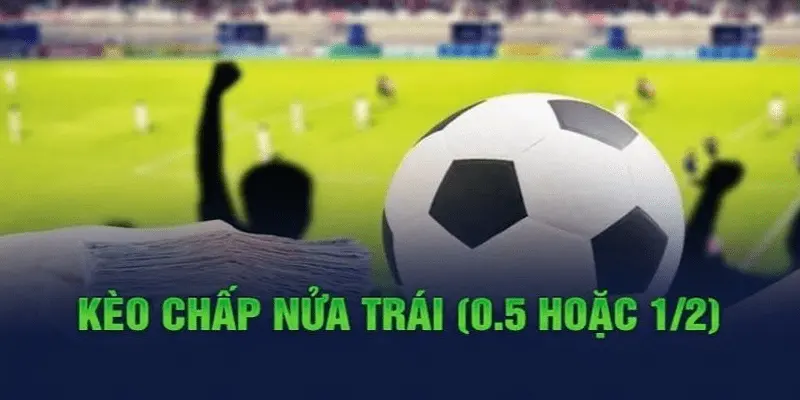 Cách đọc và phân tích kèo chấp nửa trái