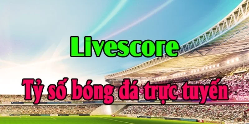 Cakhia: Nền Tảng Livescore Hàng Đầu Tại Việt Nam