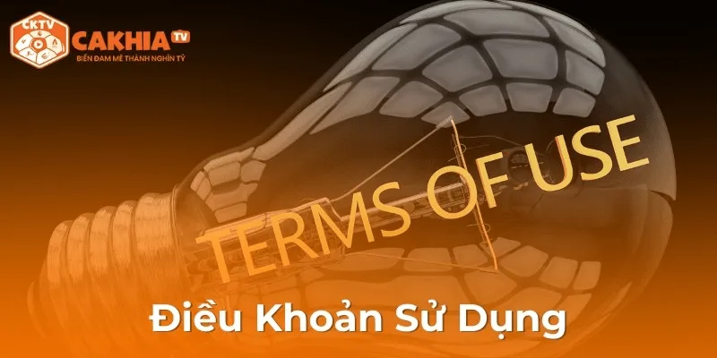 Tại sao điều khoản sử dụng quan trọng với người chơi Cakhia